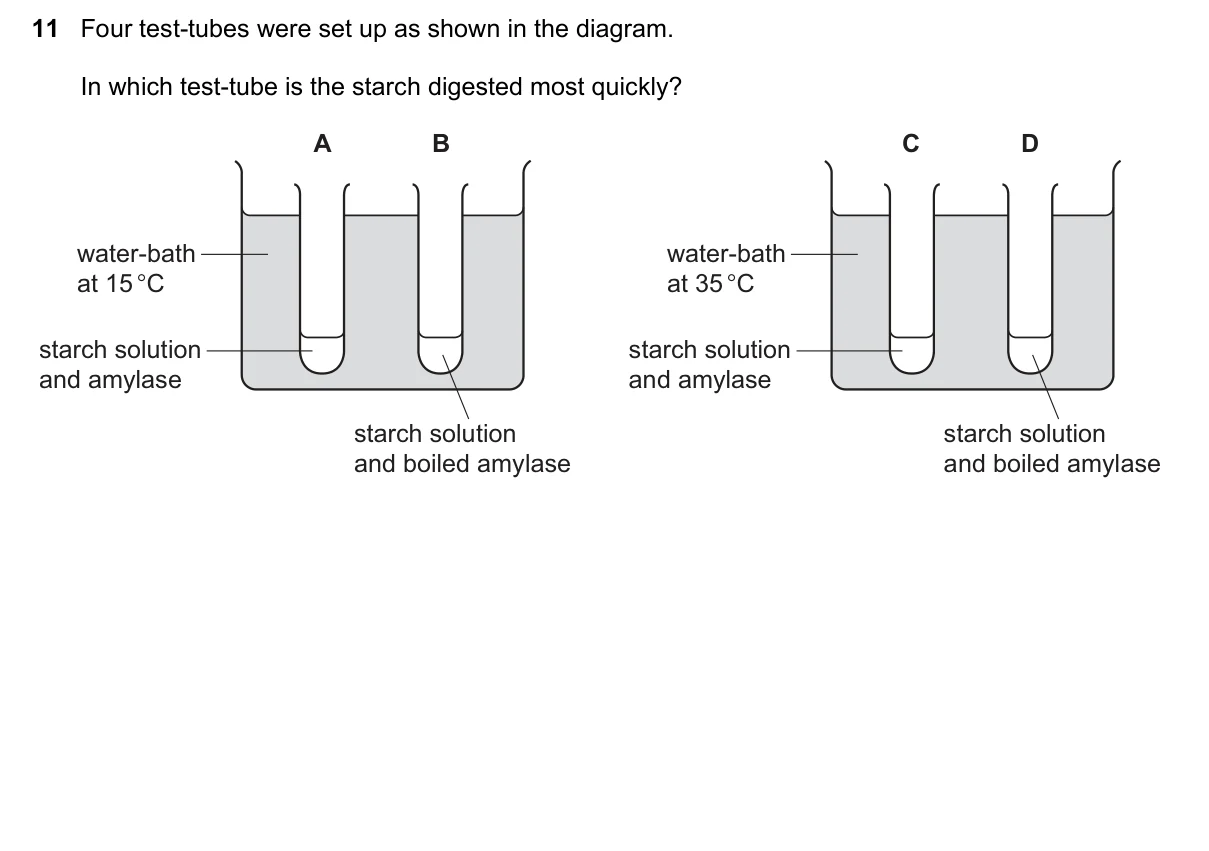 Question 11, November 2021, 0610 Paper 22