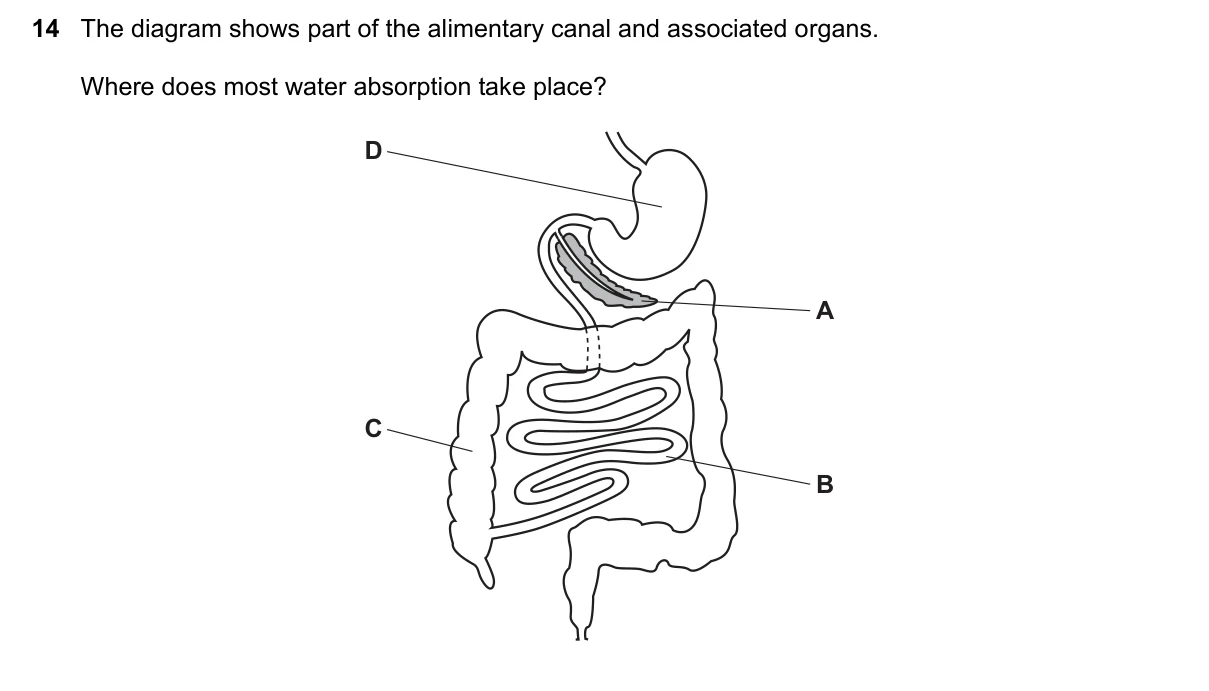 Question 14, November 2021, 0610 Paper 22