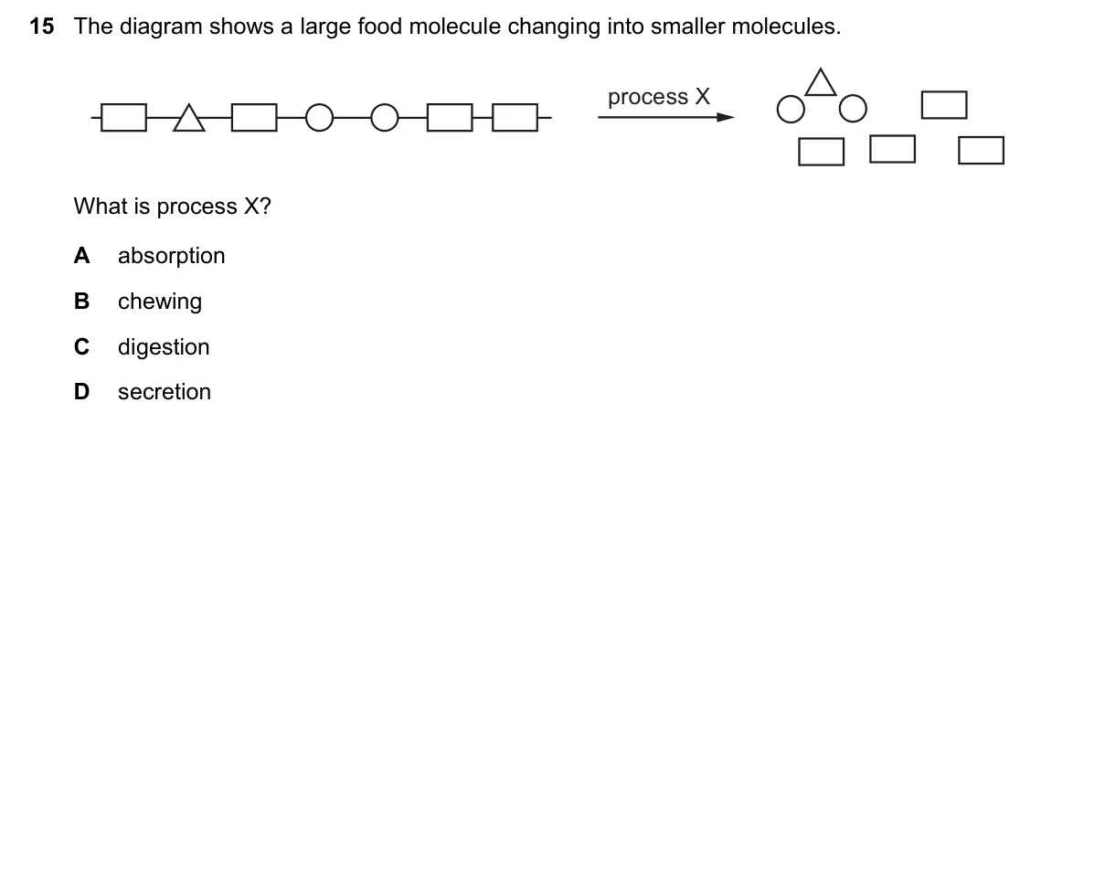 Question 15, November 2021, 0610 Paper 22