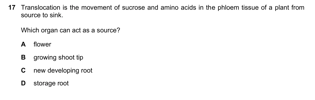 Question 17, November 2021, 0610 Paper 22