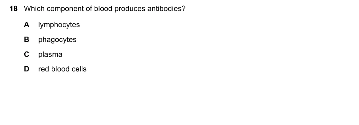 Question 18, November 2021, 0610 Paper 22