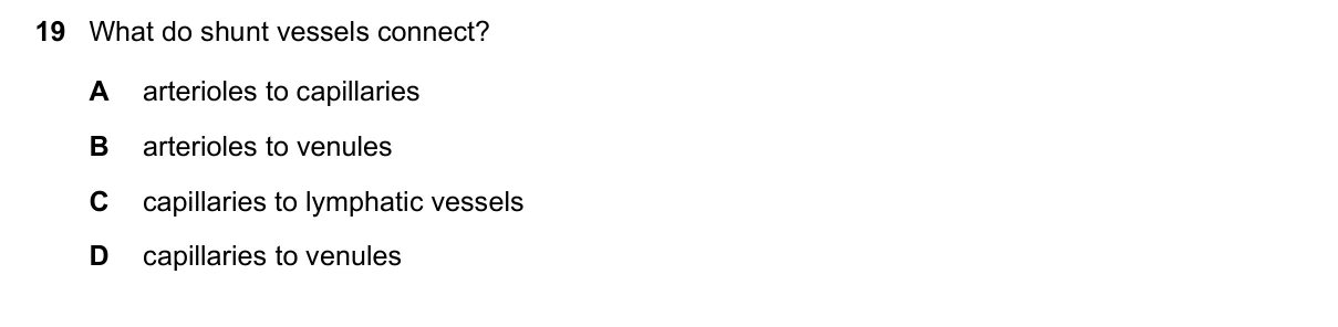 Question 19, November 2021, 0610 Paper 22