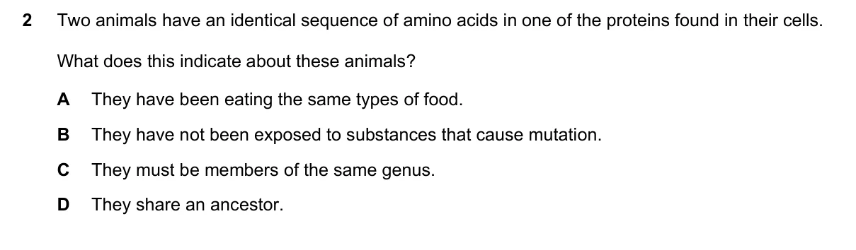 Question 2, November 2021, 0610 Paper 22