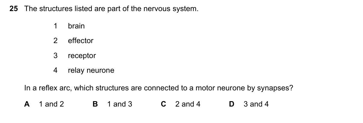 Question 25, November 2021, 0610 Paper 22