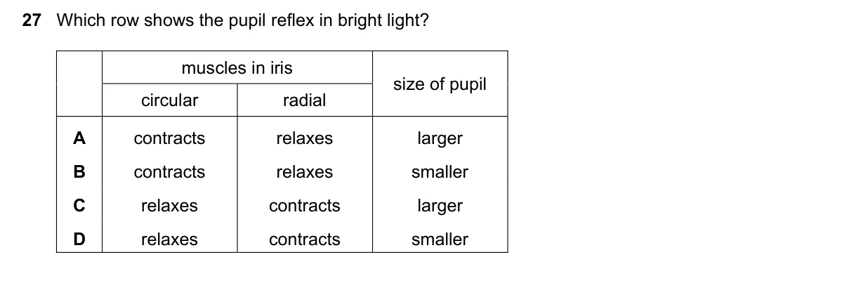 Question 27, November 2021, 0610 Paper 22