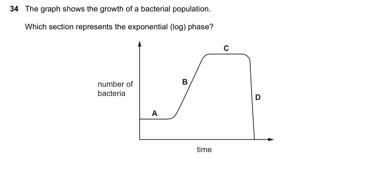 Question 34, November 2021, 0610 Paper 22