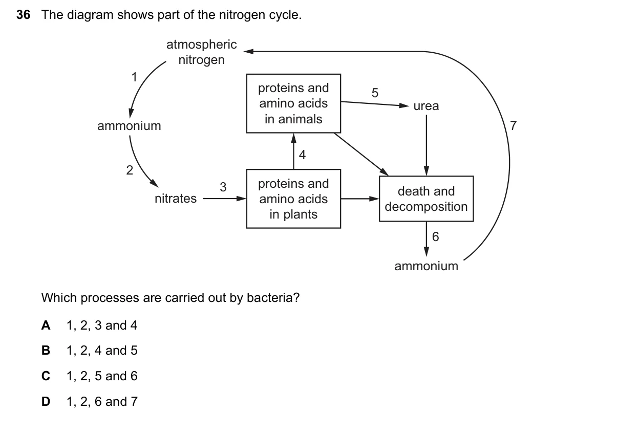 Question 36, November 2021, 0610 Paper 22
