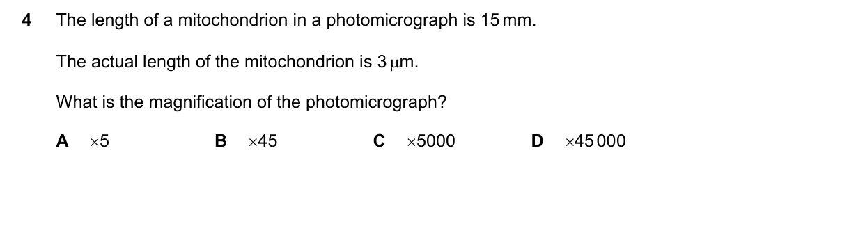 Question 4, November 2021, 0610 Paper 22