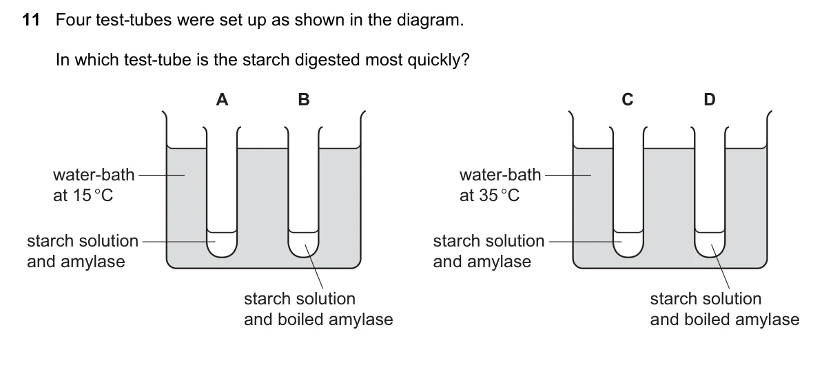 Question 11, November 2021, 0610 Paper 13