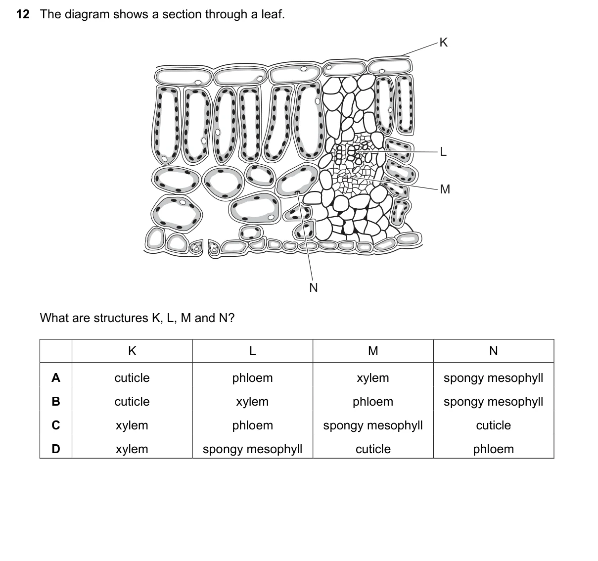 Question 12, November 2021, 0610 Paper 13