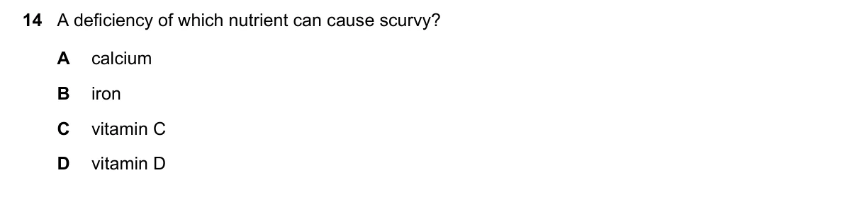Question 14, November 2021, 0610 Paper 13