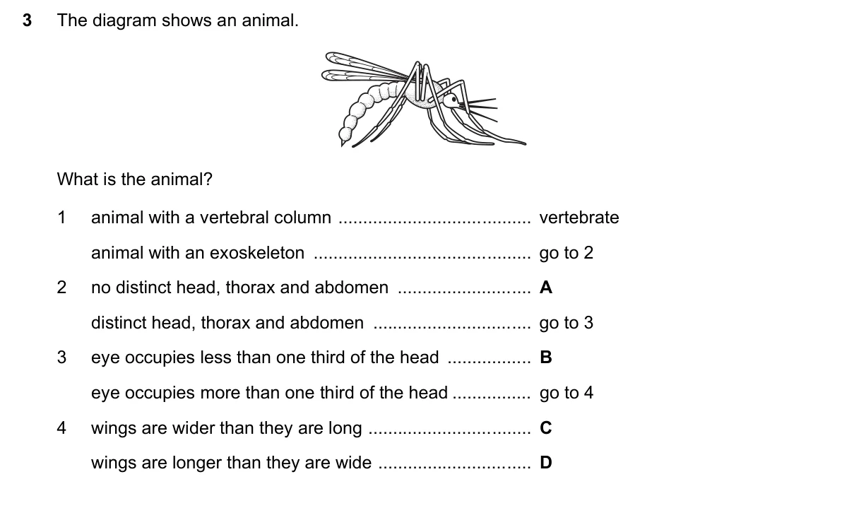 Question 3, November 2021, 0610 Paper 13