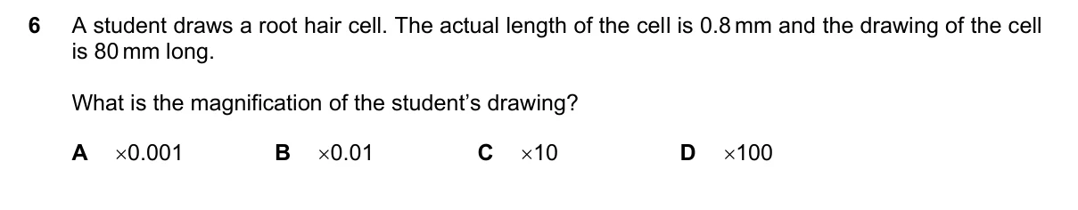 Question 6, November 2021, 0610 Paper 13
