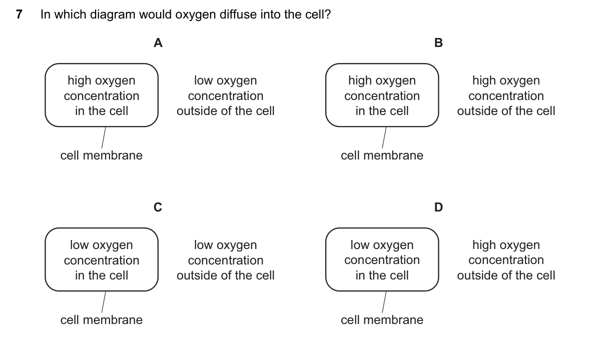 Question 7, November 2021, 0610 Paper 13