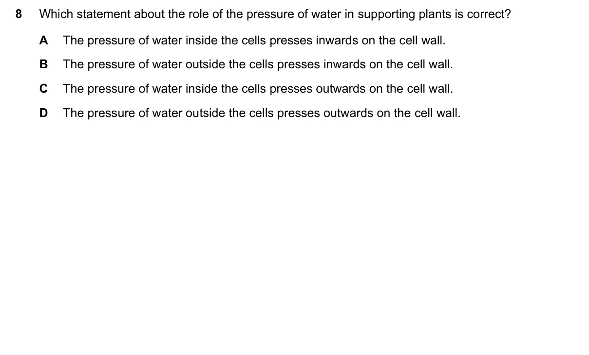Question 8, November 2021, 0610 Paper 13