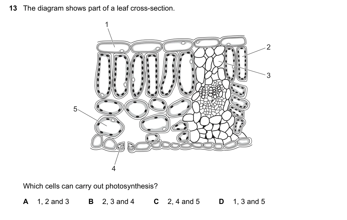Question 13, November 2021, 0610 Paper 23