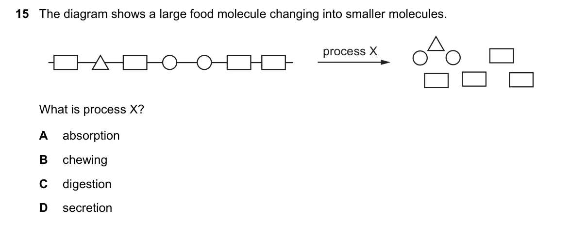 Question 15, November 2021, 0610 Paper 23