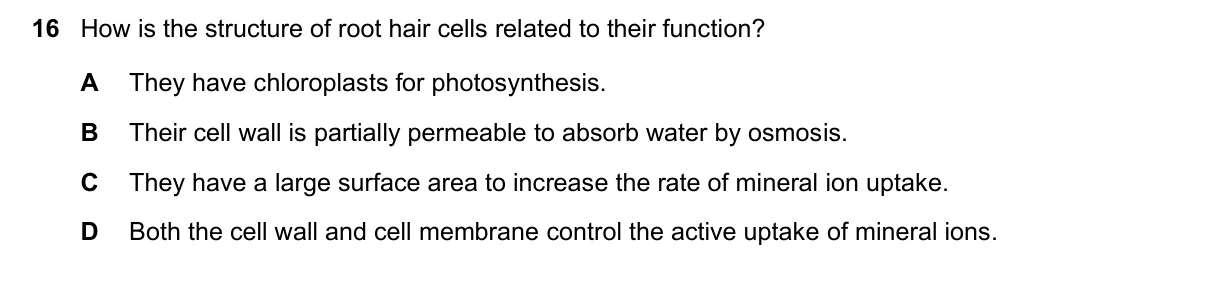 Question 16, November 2021, 0610 Paper 23