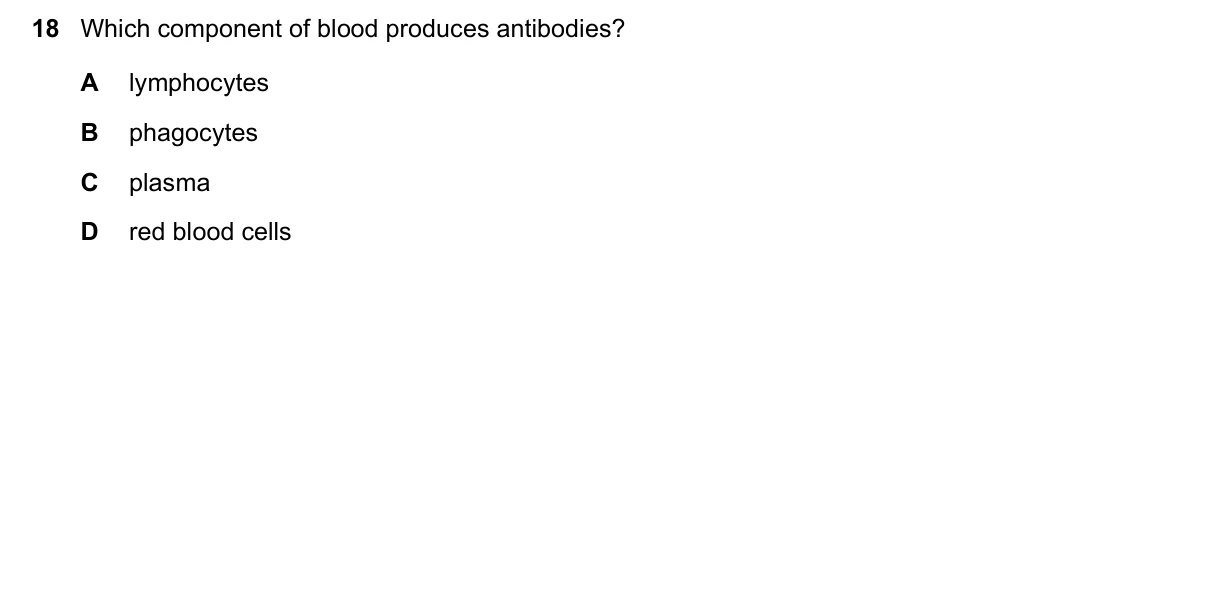 Question 18, November 2021, 0610 Paper 23