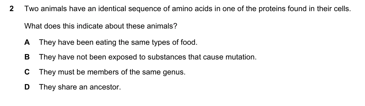 Question 2, November 2021, 0610 Paper 23