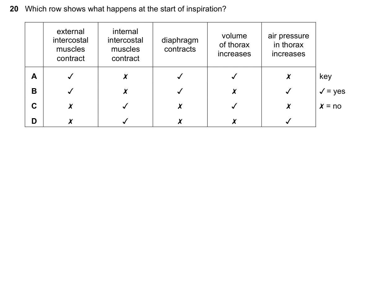Question 20, November 2021, 0610 Paper 23