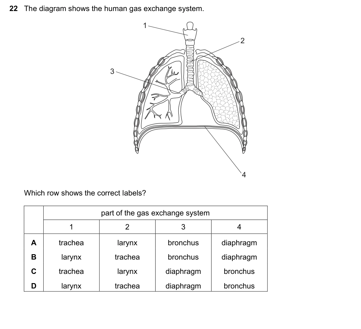 Question 22, November 2021, 0610 Paper 23