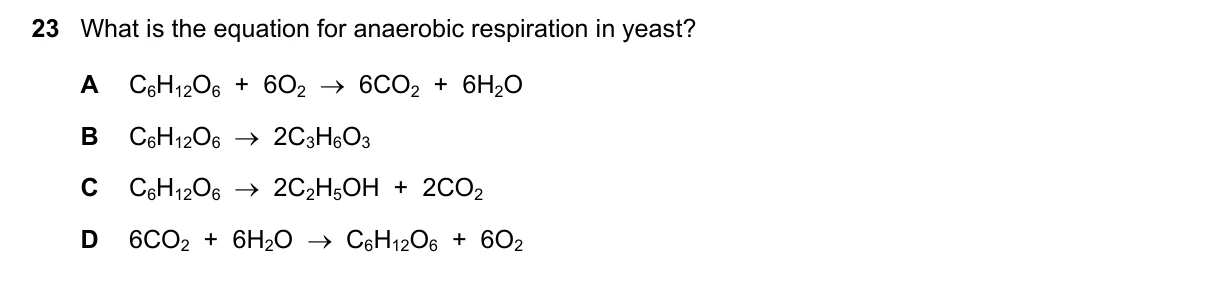 Question 23, November 2021, 0610 Paper 23
