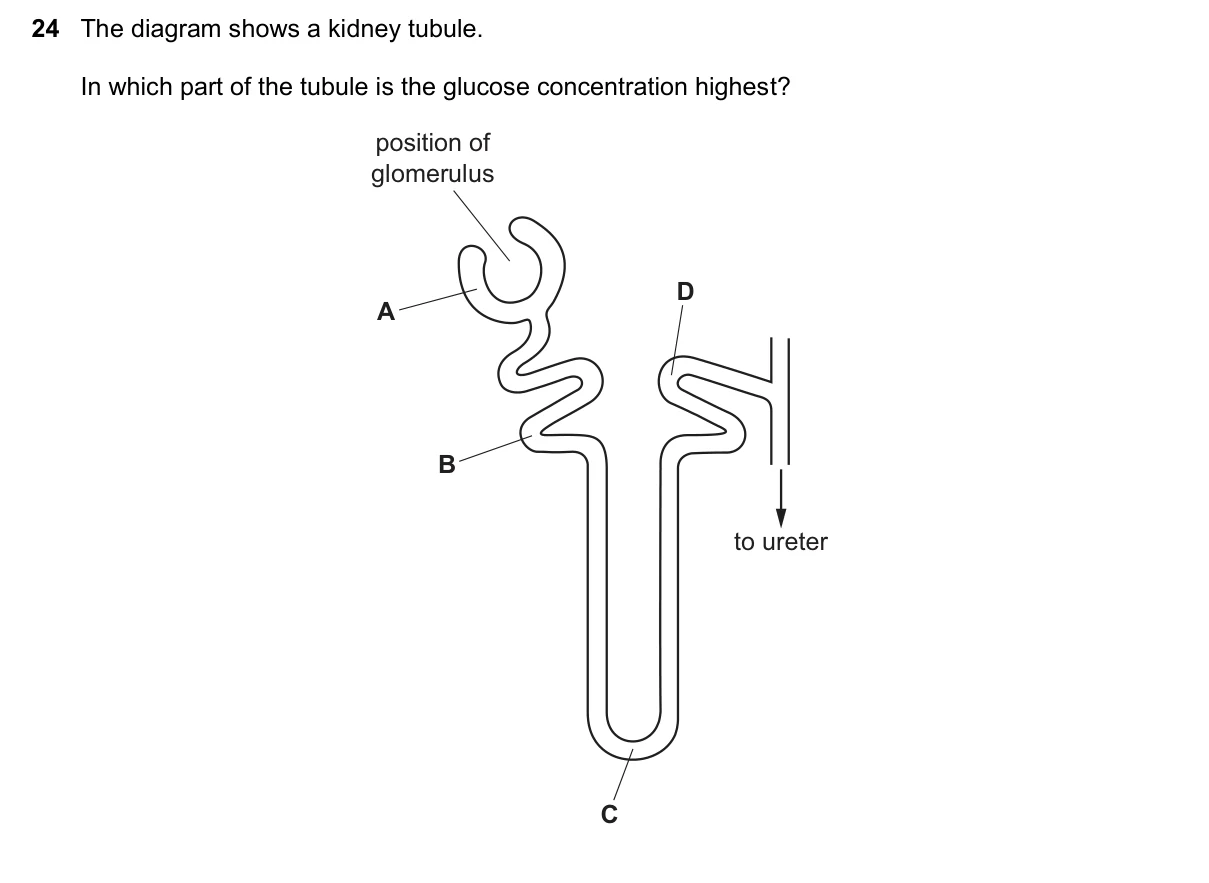 Question 24, November 2021, 0610 Paper 23
