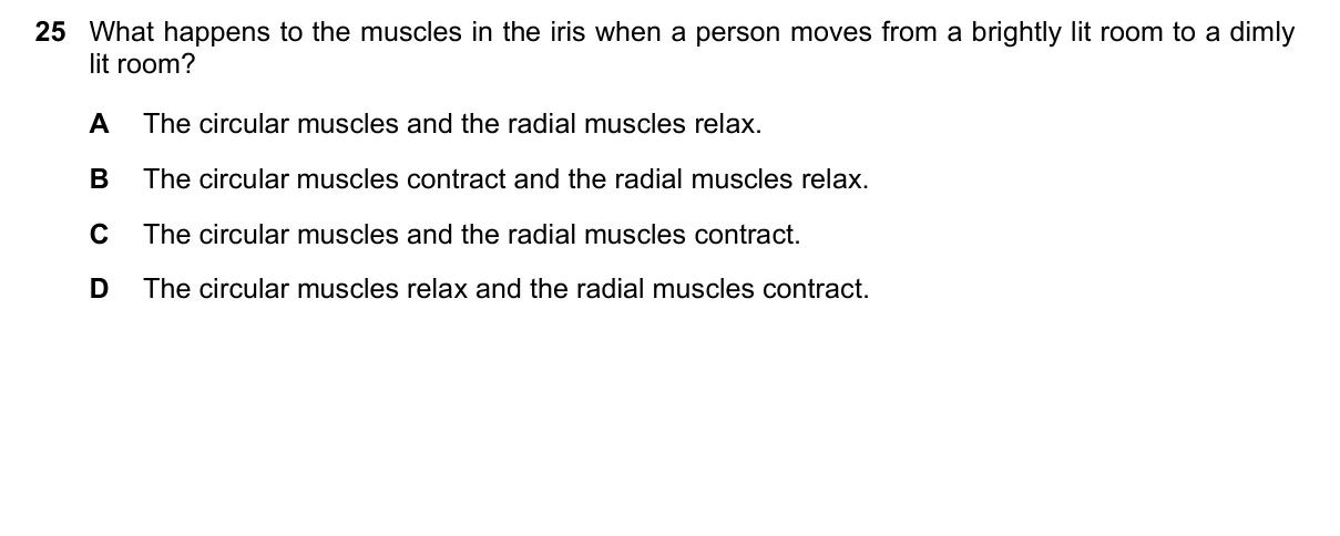 Question 25, November 2021, 0610 Paper 23