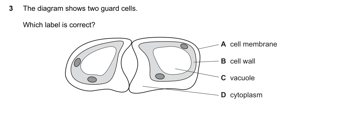 Question 3, November 2021, 0610 Paper 23