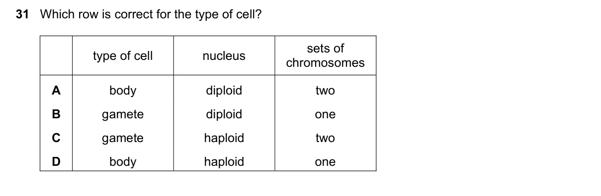 Question 31, November 2021, 0610 Paper 23