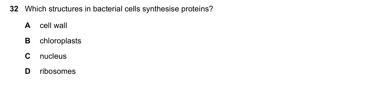 Question 32, November 2021, 0610 Paper 23
