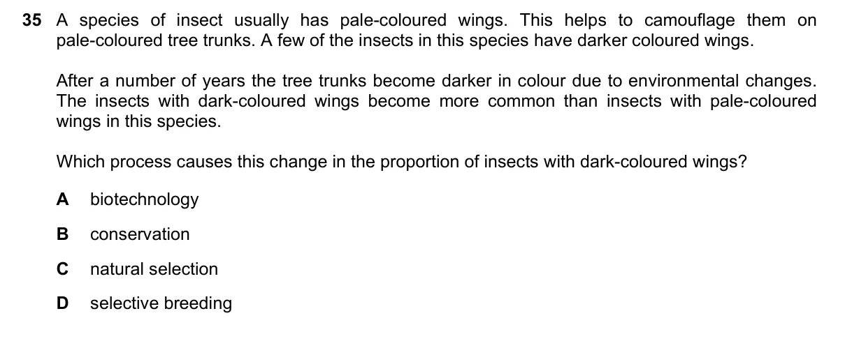 Question 35, November 2021, 0610 Paper 23