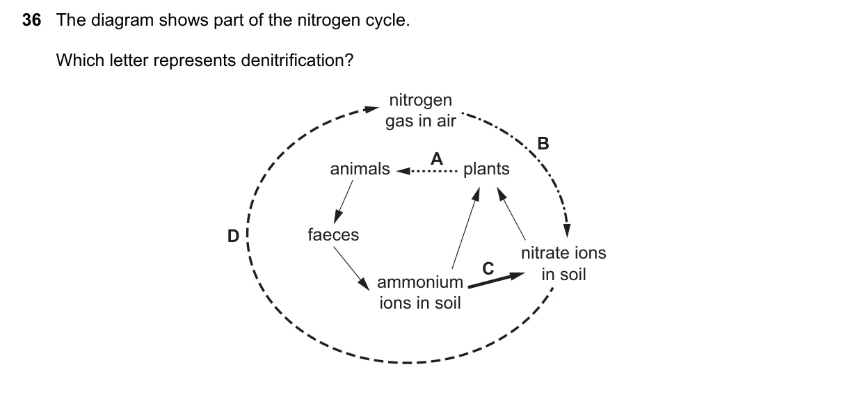 Question 36, November 2021, 0610 Paper 23