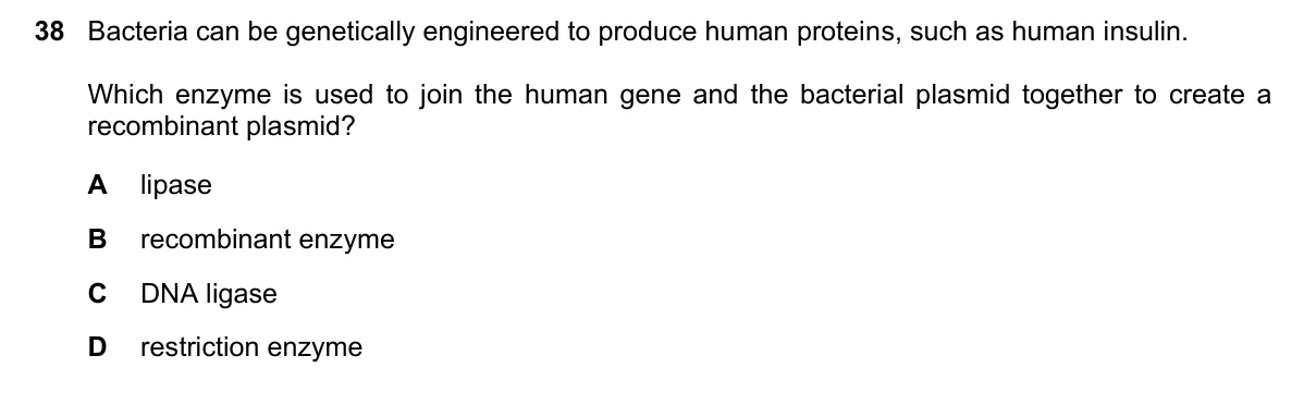Question 38, November 2021, 0610 Paper 23