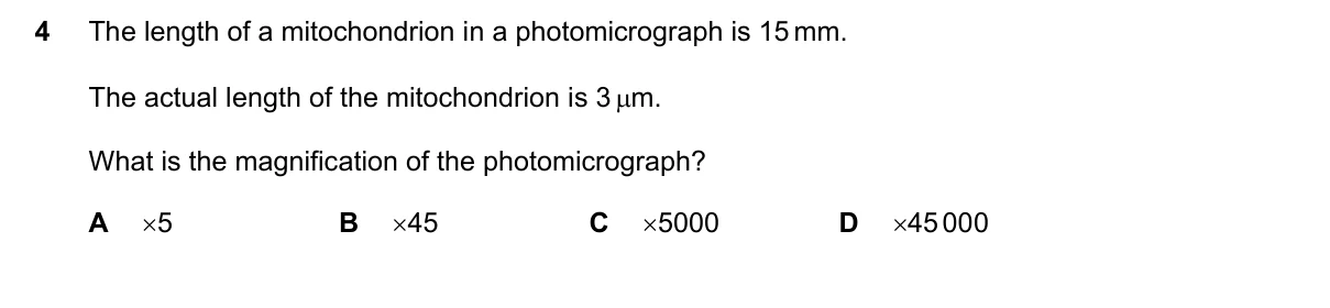 Question 4, November 2021, 0610 Paper 23