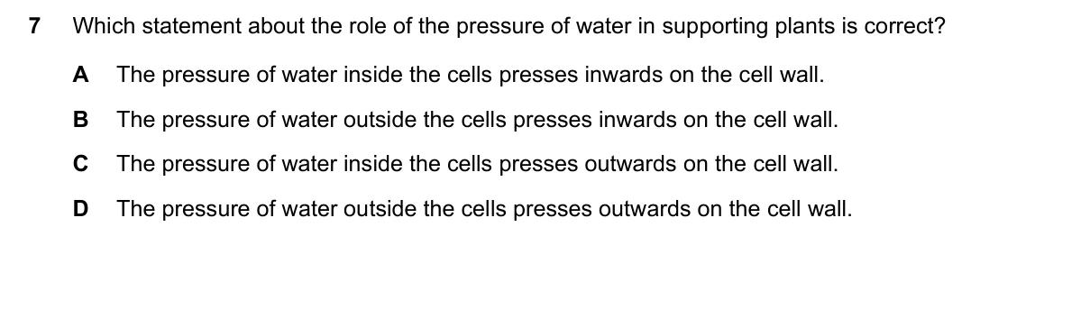 Question 7, November 2021, 0610 Paper 23