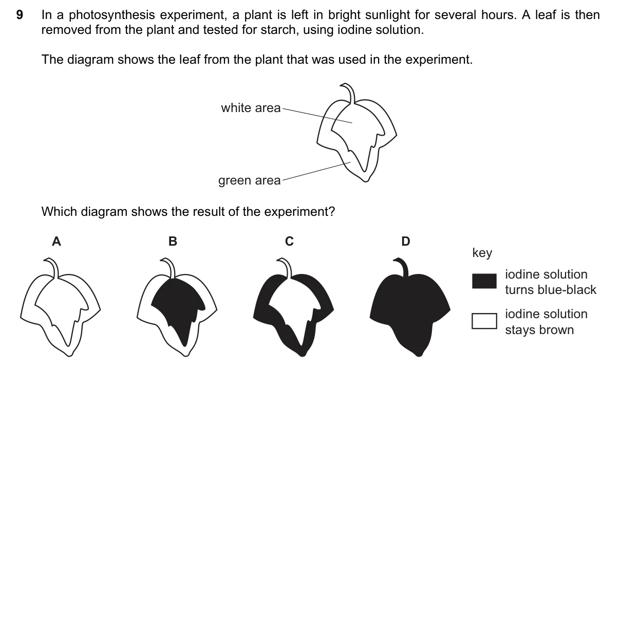 Question 9, November 2021, 0610 Paper 23