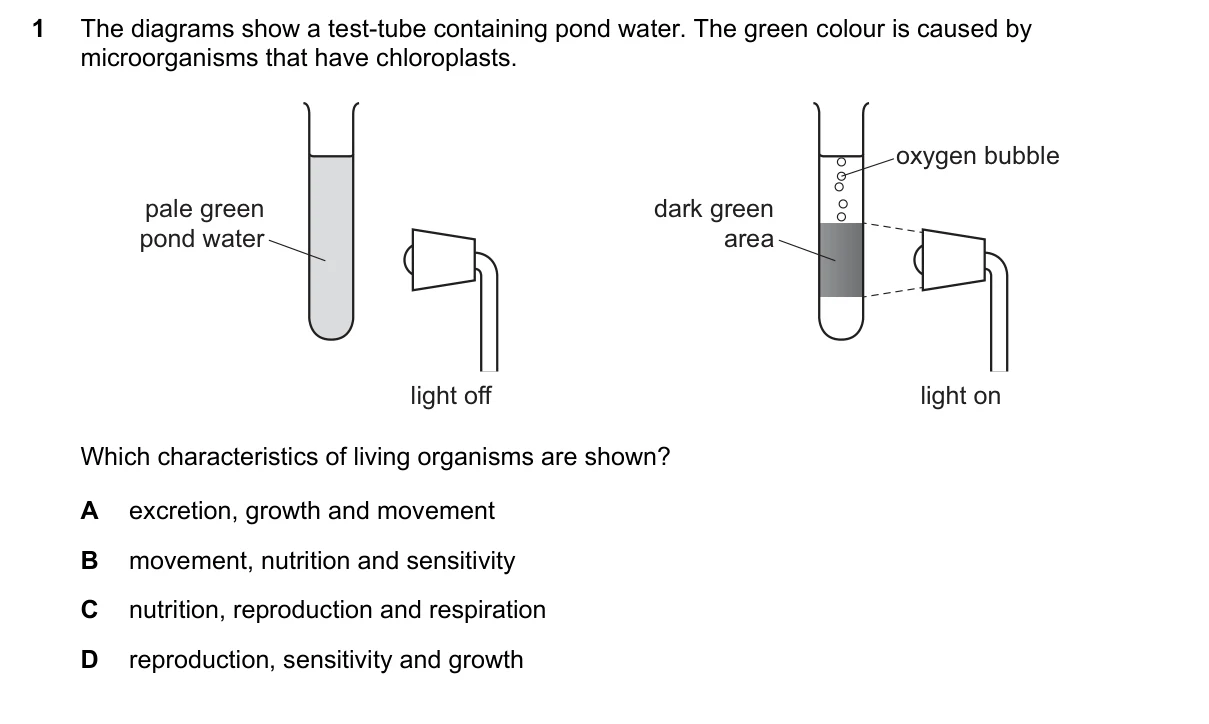 Question 1, March 2022, 0610 Paper 12