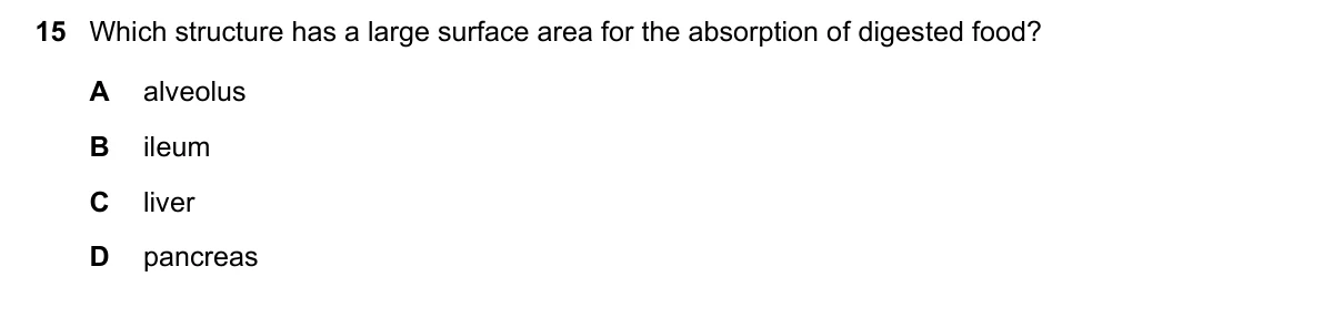 Question 15, March 2022, 0610 Paper 12