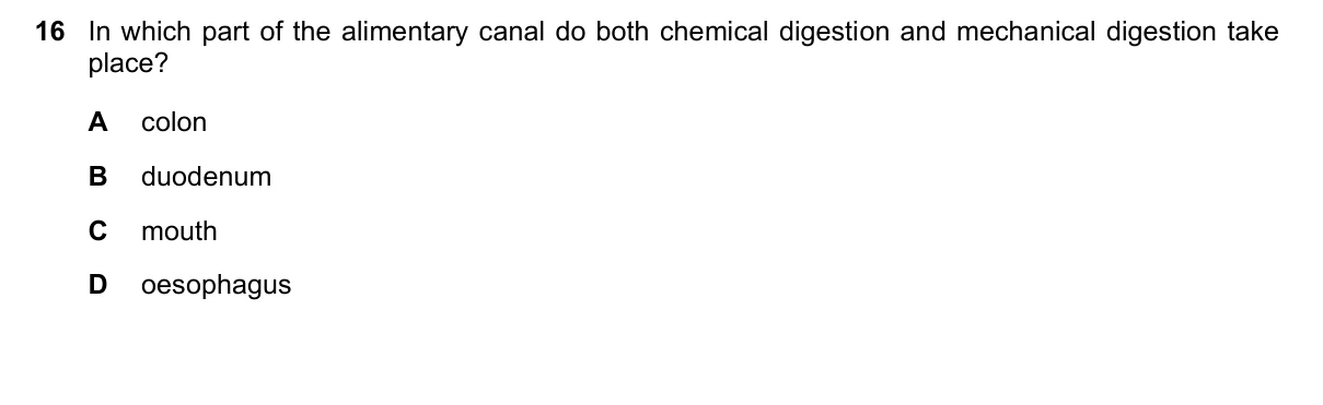 Question 16, March 2022, 0610 Paper 12