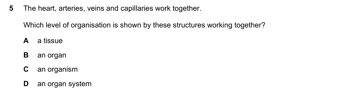 Question 5, March 2022, 0610 Paper 12