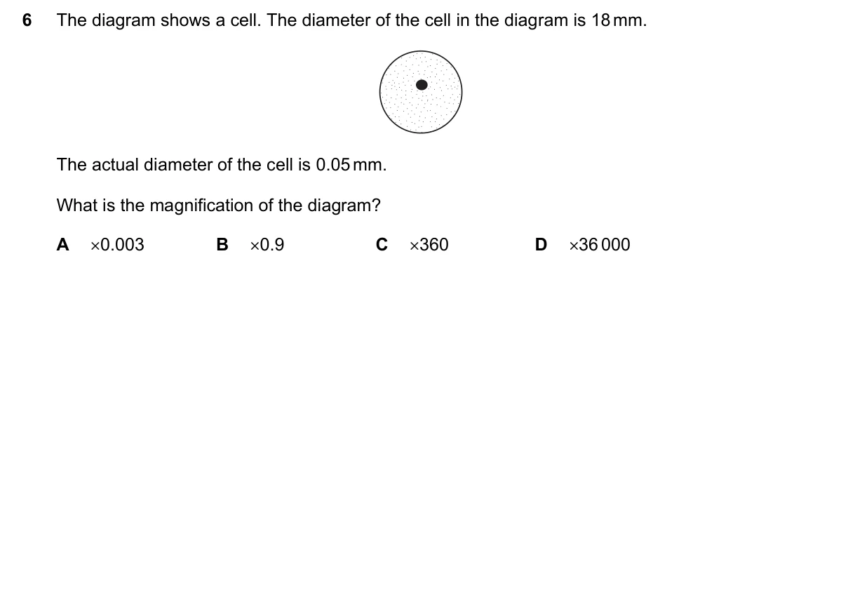 Question 6, March 2022, 0610 Paper 12