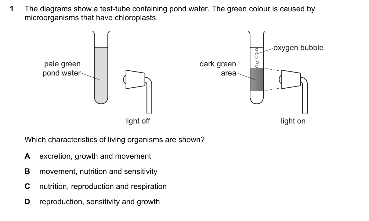 Question 1, March 2022, 0610 Paper 22