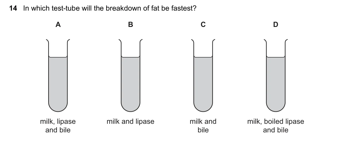 Question 14, March 2022, 0610 Paper 22