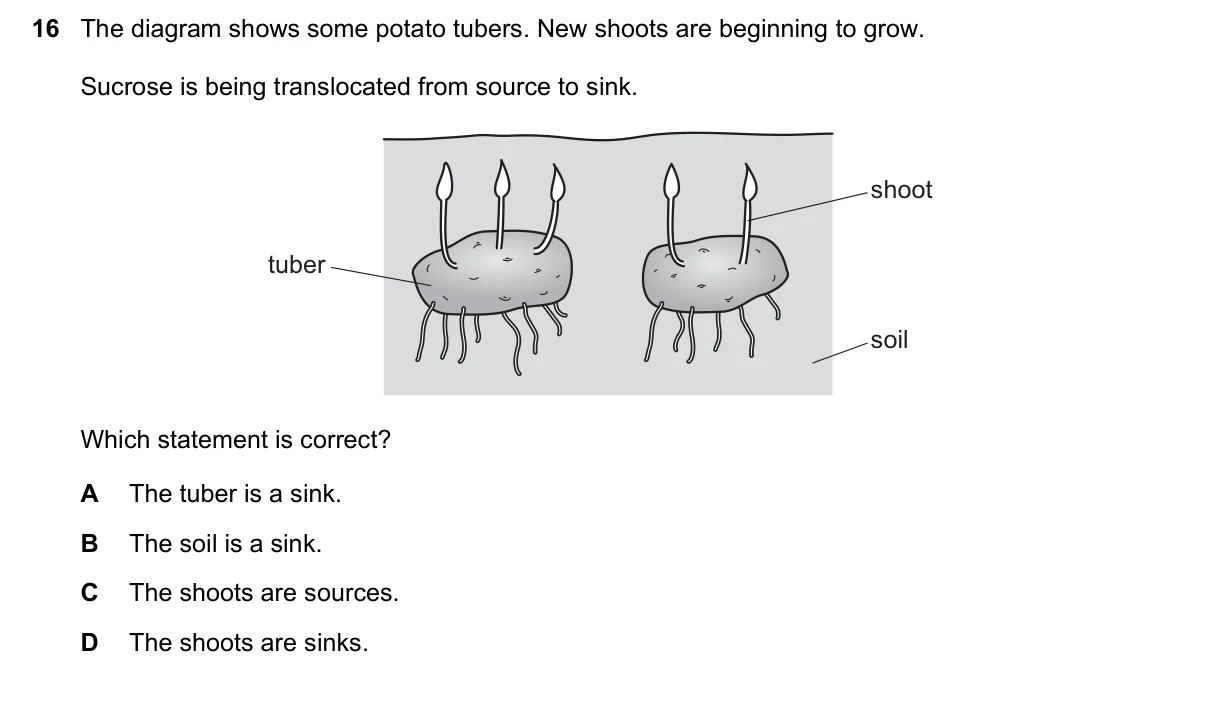 Question 16, March 2022, 0610 Paper 22