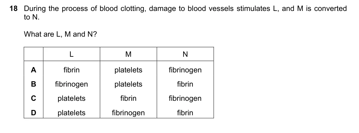 Question 18, March 2022, 0610 Paper 22