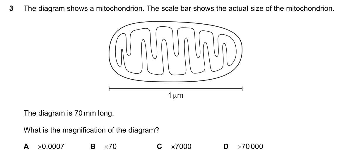 Question 3, March 2022, 0610 Paper 22
