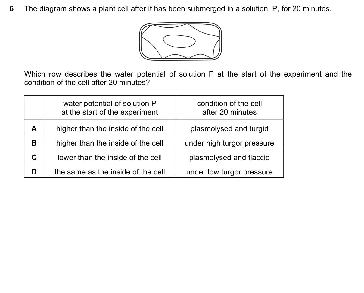 Question 6, March 2022, 0610 Paper 22