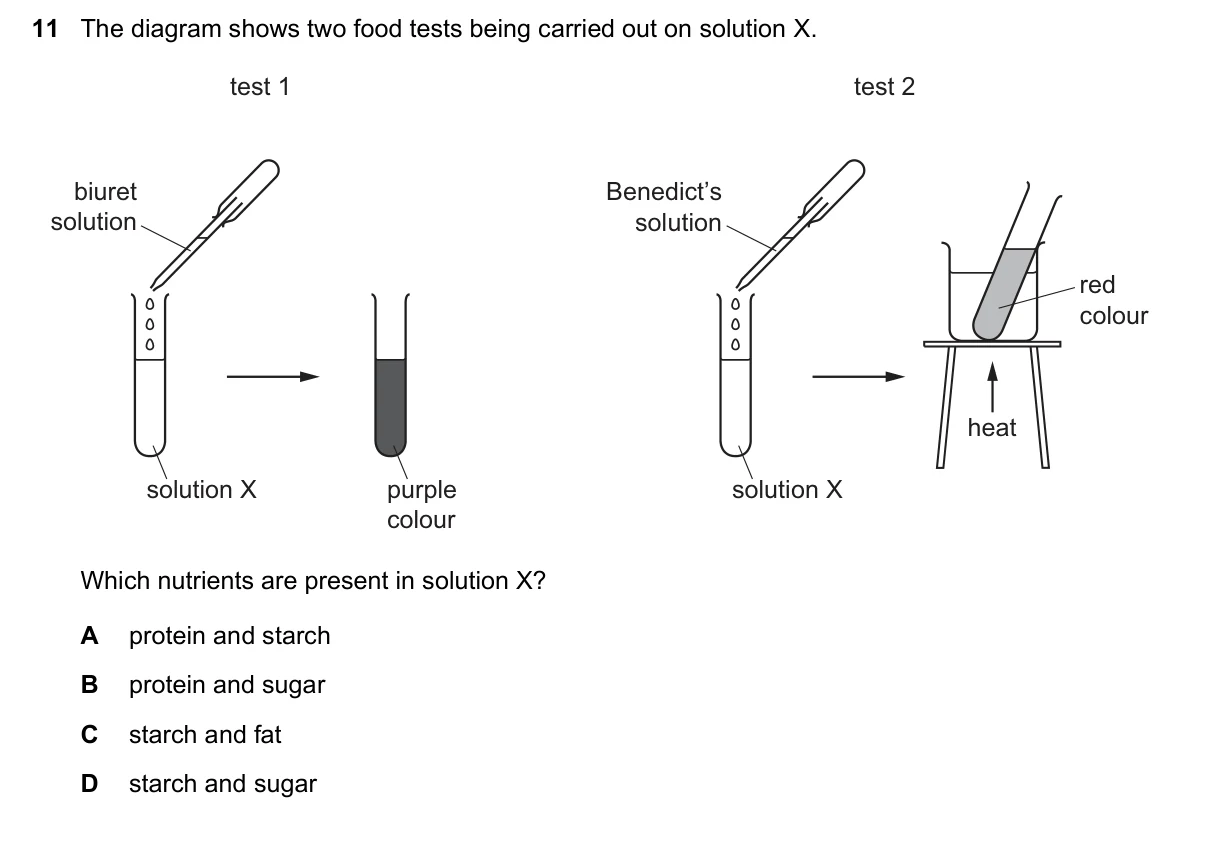 Question 11, June 2022, 0610 Paper 11